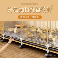 Cage Xiaohuang Indoor Ke Large Cage Rat-Proof Encrypted Chicken Ludiced Chicken Cage Childhood Dedic