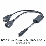 DC5521 Female to USB-A + USB-C Female Splitter Cable 30cm | DC 5.5×2.1mm Power Adapter | 5V 3A Charg