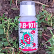 Thuốc kích rể HB-101Nhật Bản làm tăng trưởng hoa quả giúp cây yếu hồi sinh -Lọ to 50ML