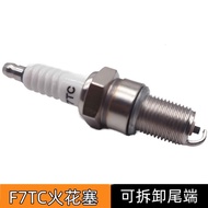 Palam pencucuh enjin petrol F7TC, penjana petrol GX160, mesin penggilap mikro tiller, palam pencucuh