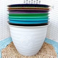 Honey POT 20/wasp POT 20/ Wasp POT 18cm