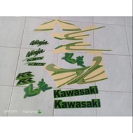 STRIPE KENJI KAWASAKI RR