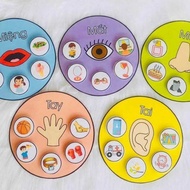 ️[AnDat] Round Learning Materials 5 Senses