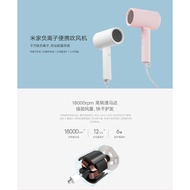 Imported XiaoMi ironic Dryer (100 authentic guaranteed)