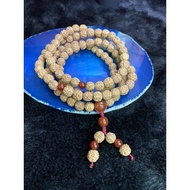 rudraksha mala 108 pcs chanting bead with red agate beads mala necklace