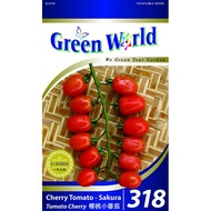 Green World Seeds GW-318 Cherry Tomato - Sakura (Tomato Cherry) 30 Seeds
