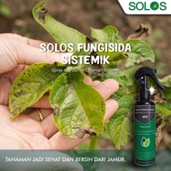 Sfs - Solos Fungisida Sistemik