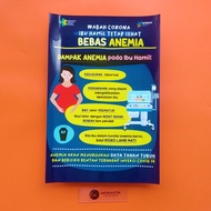 Health Poster - Anemia Poster for Pregnant Women: Anemia Impact Poster for Pregnant Women