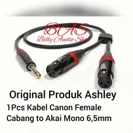 Ashley Audio Cable Plus Akai Mono Jack 6.5mm to Canon XLR Female Branch 4 MTR - 7 MTR