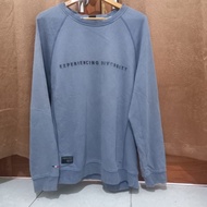 Crewneck eider