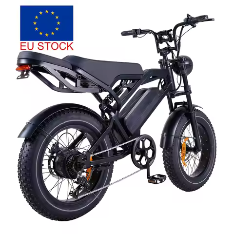 20 Inch 250w 1OOOw Fat Bike E-bike Ebike V20 Fat Tyre E Bike Fatbike Electric Bike Fat Tire Wheel Bi