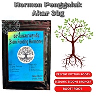 [30 g] Original Thailand Siam Rooting Hormone/Baja akar /Hormon Penggalak Akar/Keratan Batang Tut/Nu