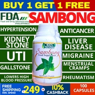 ORIGINAL SAMBONG CAPSULE ORIGINAL 100 CAPSULES 500mg Pure Natural Sambong Powder Herbal Medicine, An