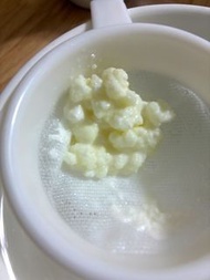 新鮮牛奶克菲爾菌