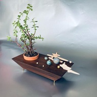 木盆栽架/原木置物盤/星球小宇宙/梯形/不含盆栽