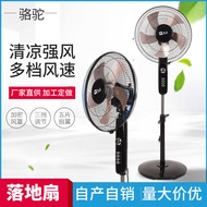 Camel Electric Fan Floor Fan Household Office Oscillating Standing Floor Fan Wholesale Timer-Control