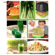 colorfulswallowfree Garden  Peanut Sprout Box Bean Pea Wheat Seedling Sprouter Tray Grass CCD