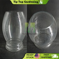 H 40CM GLASS VASE 8055 CONTAINER FLOWER DECORATION FOR GROWING AQUATIC PLANTS PASU BUNGA KACA