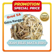 Ikan Bilis Mata Biru Belum Kopek gred 5A