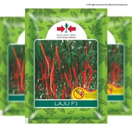 Benih cabe keriting cabe LAJU F1