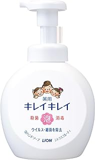 Kirei Kirei Medicated Foaming Hand Soap, Citrus Fruity Scent, Main Body Pump, Large Size, 16.9 fl oz (500 ml) (Quasi Drug)