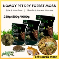 Nomoy Pet Dry Forest Moss Reptile Substrate terrarium landscape bedding frog Substrate tarantula
