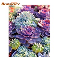 RUOPOTY 60x75cm/50x65cm/40x50cm Frame Frame DIY Painting By Numbers Kits Colorful Succulent Flowers 