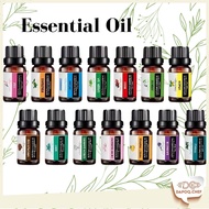 DC Pati Perfume Aromaterapi Therapeutic Fragrance Oil Perfect for Diffuser & Humidifier Minyak Terap