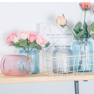 Vase Glass Transparent Green Dill Flowerpot Small Fresh Home Living Room Decoration Flower Arrangeme