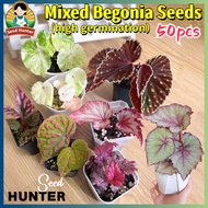 50pcs Mixed Begonia Seeds Begonia Plant Seeds for Planting & Gardening Begonia Live Plants Begonia M