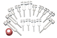 Radical Weighted Human Organ 15 Tuning Forks with Activator and Pouch