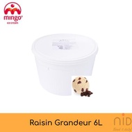 Mingo Ice Cream - 6 Litre Tub