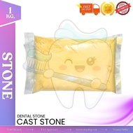 Castone Dental Stone Gypsum Powder 1kg | Type III | Dental Model Material Dental Material