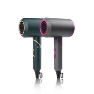 [SHIP FROM CHINA 1-3 WD] Electric Hair Dryer Gift Hair Salon Negative Ion