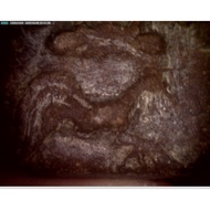 SUPERB ROOSTER PIM THE MOST SOUGHT AFTER PIM OF  LP PARN SOMDEJ  2460 BE.GENUINE PIM 100%.offer pric