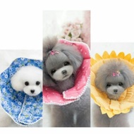 Instock Pet cat Dog E-Collar Elizabethan collar/ wound healing/ e collar/ collar