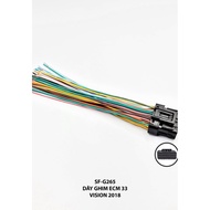 Ecu, ECM Pin Wire (IC Jack) Old Vision Car 33 Pins