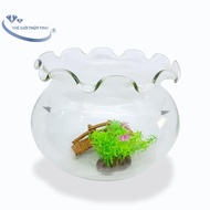 BỂ CÁ THỦY TINH HỒ CÁ CHẬU CÂU MIỆNG BÈO D24cm x 21cm B2