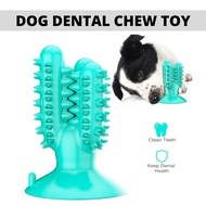 Dog Dental Chew Toy Toothbrush Molar Dental Care Chew Stick for Pets