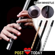 Authentic Irish Whistle Flute C/D Key Tin Penny Whistle with 6 Holes Perfect Traditional Irish Music