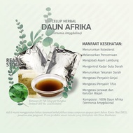 DAUN AFRIKA Teh Celup Herbal isi 20 kantong Kolesterol Asam Urat Menurunkan Tekanan Darah Antioksida