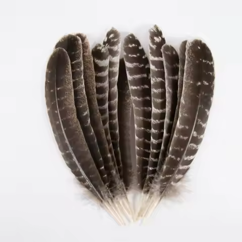 Muy Bien 10pcs/lot Natural Turkey Feather Craft Ornament Decorative Accessories Wedding Party Mardi 