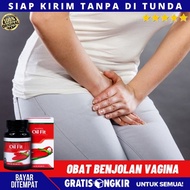 Obat Benjolan Vagina Obat Tonjolan Pagina Obat Herbal Mengatasi Tonjolan Perih Pada Kelamin Wanita T