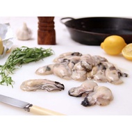 Premium Korea Oyster Meat 1Kg+- Fresh Frozen IQF Large