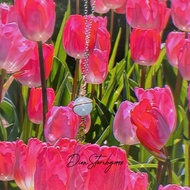 Handmade “Starfish” planet Aquamarine necklace