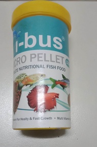 fish food aquarium guppy, tetra fish, fighting fish