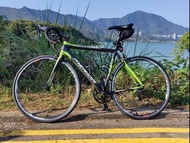 Merida Scultura Evo 碳纖公路車