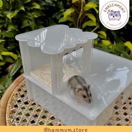 Syrian Hamster House Acrylic Acrylic Syrian Hamster House Hideout Hamster Code Q7F7
