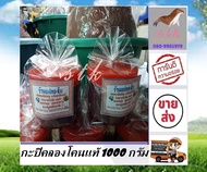 กะปิแม่ทองใบ 1000 กรัม กะปิคลองโคน กะปิคลองโคนแท้ 100% ตลาดร่มหุบ แม่กลอง บรรจุ 500 กรัม 2 กระปุก สะ