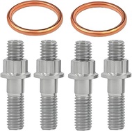 BIGLKNM 400EX X400R Titanium Studs Head Bolt Gaskets Kit for Honda XR400R TRX400X Sportrax 400 TRX40